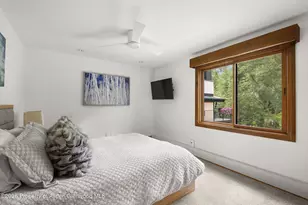 1020 E Durant Ave, Aspen, CO 81611 - Photo 9