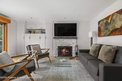 1020 E Durant Avenue #301, Aspen, CO 81611 - Photo 3