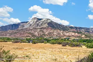 259 Willow Creek Trail, Parachute, CO 81635 - Photo 35