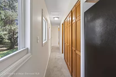 49 Grey Wolf, Aspen, CO 81611 - Photo 9