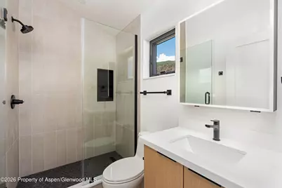 428 Amesbury Drive, Basalt, CO 81621 - Photo 19