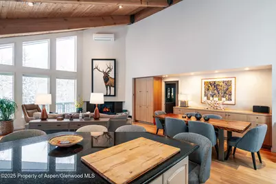 100 Mountain Laurel Court, Aspen, CO 81611 - Photo 3