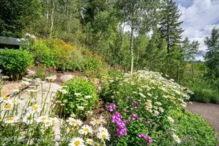100 Mountain Laurel Ct, Aspen, CO 81611 - Photo 31