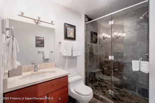 100 Mountain Laurel Ct, Aspen, CO 81611 - Photo 15