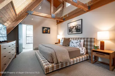 100 Mountain Laurel Court, Aspen, CO 81611 - Photo 19