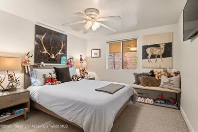 914 Waters Avenue #19, Aspen, CO 81611 - Photo 11