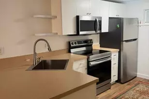914 Waters Ave, Aspen, CO 81611 - Photo 9
