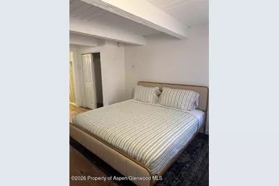 914 Waters Avenue #Unit 8, Aspen, CO 81611 - Photo 7