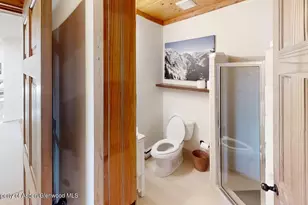 19 Mule Deer Run, Snowmass, CO 81654 - Photo 23