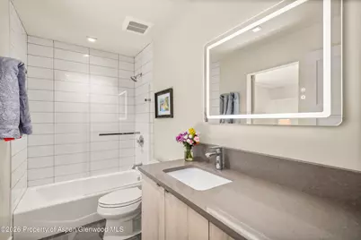 401 Larkspur Drive, Carbondale, CO 81623 - Photo 29