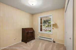 875 Bonita Dr, Aspen, CO 81611 - Photo 27