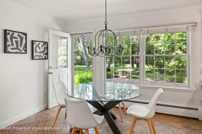 875 Bonita Drive, Aspen, CO 81611 - Photo 19