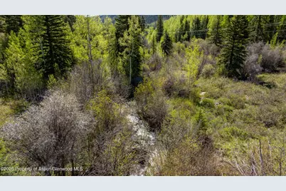 Tbd Forest Service Road 300 #The Meadow, Glenwood Springs, CO 81601 - Photo 3