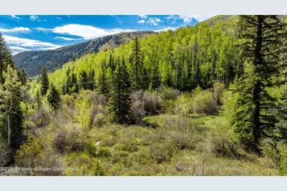 Tbd Forest Service Road 300 #The Meadow, Glenwood Springs, CO 81601 - Photo 7