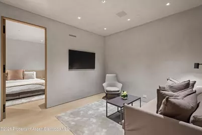 110 Coach Road, Aspen, CO 81611 - Photo 27