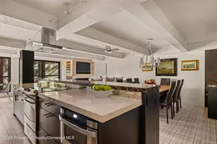 1034 E Cooper Ave, Aspen, CO 81611 - Photo 13