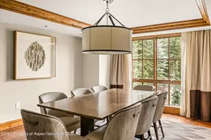 315 E Dean St, Aspen, CO 81611 - Photo 7