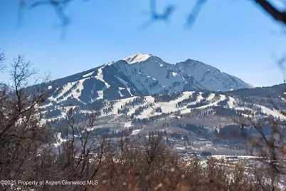260 Star Mesa Road, Aspen, CO 81611 - Photo 37