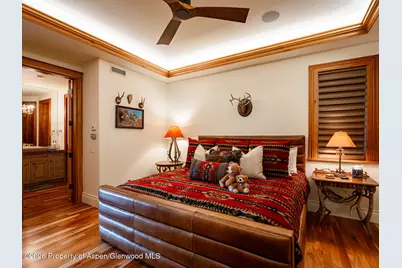 400 Eagle Pines Drive, Aspen, CO 81611 - Photo 19