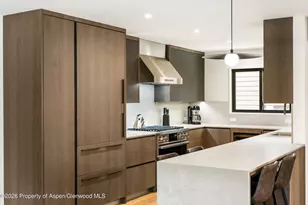 650 S Monarch St, Aspen, CO 81611 - Photo 9