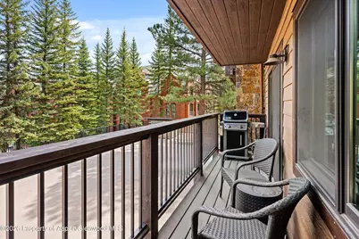650 S Monarch Street #7, Aspen, CO 81611 - Photo 7