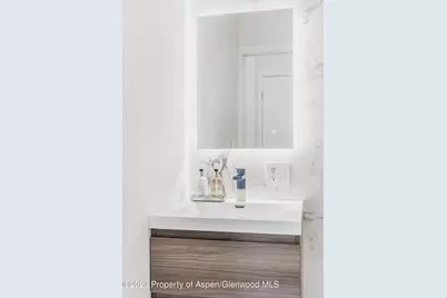 1020 E Durant Avenue #101, Aspen, CO 81611 - Photo 13