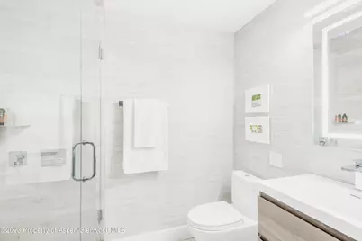 1020 E Durant Avenue #101, Aspen, CO 81611 - Photo 11