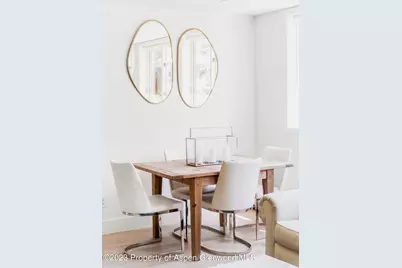 1020 E Durant Avenue #101, Aspen, CO 81611 - Photo 5