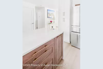 1020 E Durant Avenue #101, Aspen, CO 81611 - Photo 7
