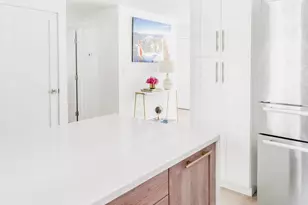 1020 E Durant Ave, Aspen, CO 81611 - Photo 7