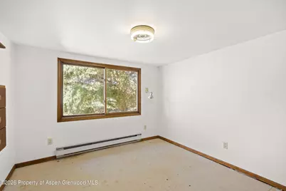 298 Rose Lane, Carbondale, CO 81623 - Photo 19