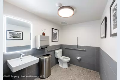 520 E Cooper Avenue #C7, Aspen, CO 81611 - Photo 11