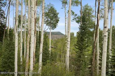 2055 Faraway Road, Snowmass Village, CO 81615 - Photo 31