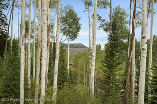 2055 Faraway Rd, Snowmass Village, CO 81615 - Photo 31