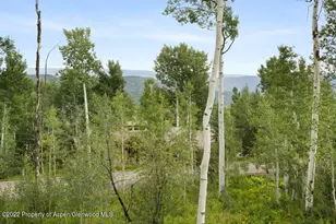 2055 Faraway Rd, Snowmass Village, CO 81615 - Photo 29