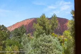 6135 Co Rd 109, Carbondale, CO 81623 - Photo 5