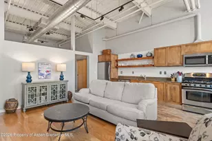 231 Robinson St, Basalt, CO 81621 - Photo 5