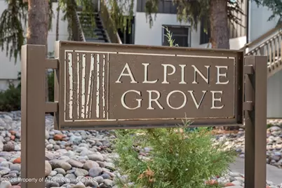 414 Pacific Avenue #G, Aspen, CO 81611 - Photo 31