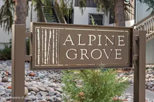 414 Pacific Ave, Aspen, CO 81611 - Photo 31