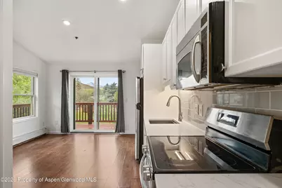 414 Pacific Avenue #G, Aspen, CO 81611 - Photo 5