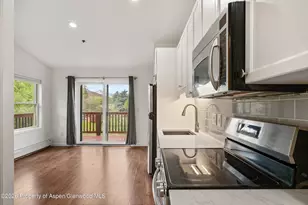 414 Pacific Ave, Aspen, CO 81611 - Photo 5