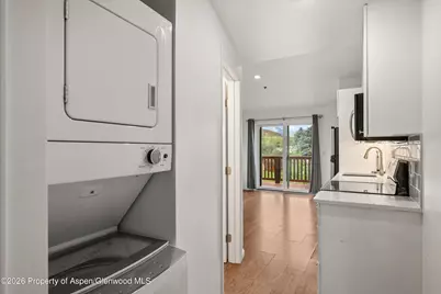 414 Pacific Avenue #G, Aspen, CO 81611 - Photo 25