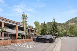 450 S Original St, Aspen, CO 81611 - Photo 13