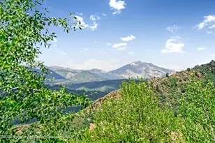 182 Bennett Pl, Aspen, CO 81611 - Photo 31