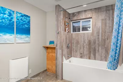 766 Lincoln Avenue, Carbondale, CO 81623 - Photo 9