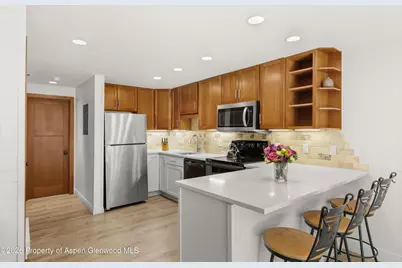 65 Campground Lane #70, Snowmass Village, CO 81615 - Photo 3