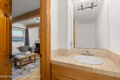914 Waters Avenue #20, Aspen, CO 81611 - Photo 7