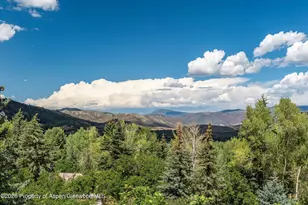264 Larkspur Ln, Aspen, CO 81611 - Photo 49