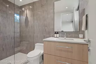 264 Larkspur Ln, Aspen, CO 81611 - Photo 33