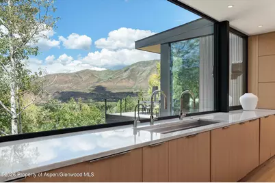 264 Larkspur Lane, Aspen, CO 81611 - Photo 17